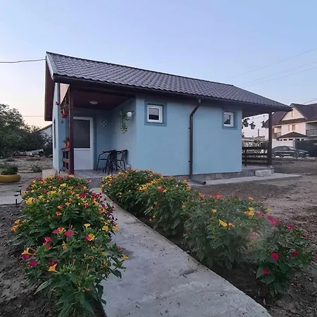 La Dragalasu Corbu (Constanta)